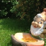 Garden Gnomes are Cheeky and Happy