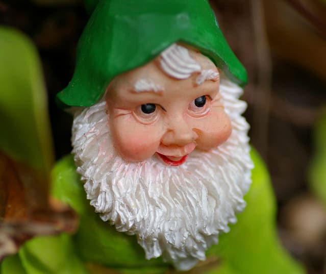 Why are gnomes so popularHappy Gnome