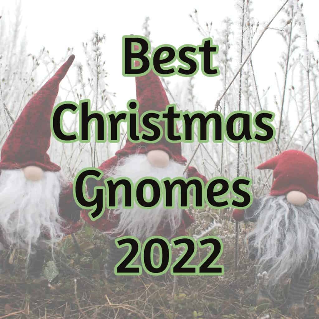 Best Christmas Gnomes 2022