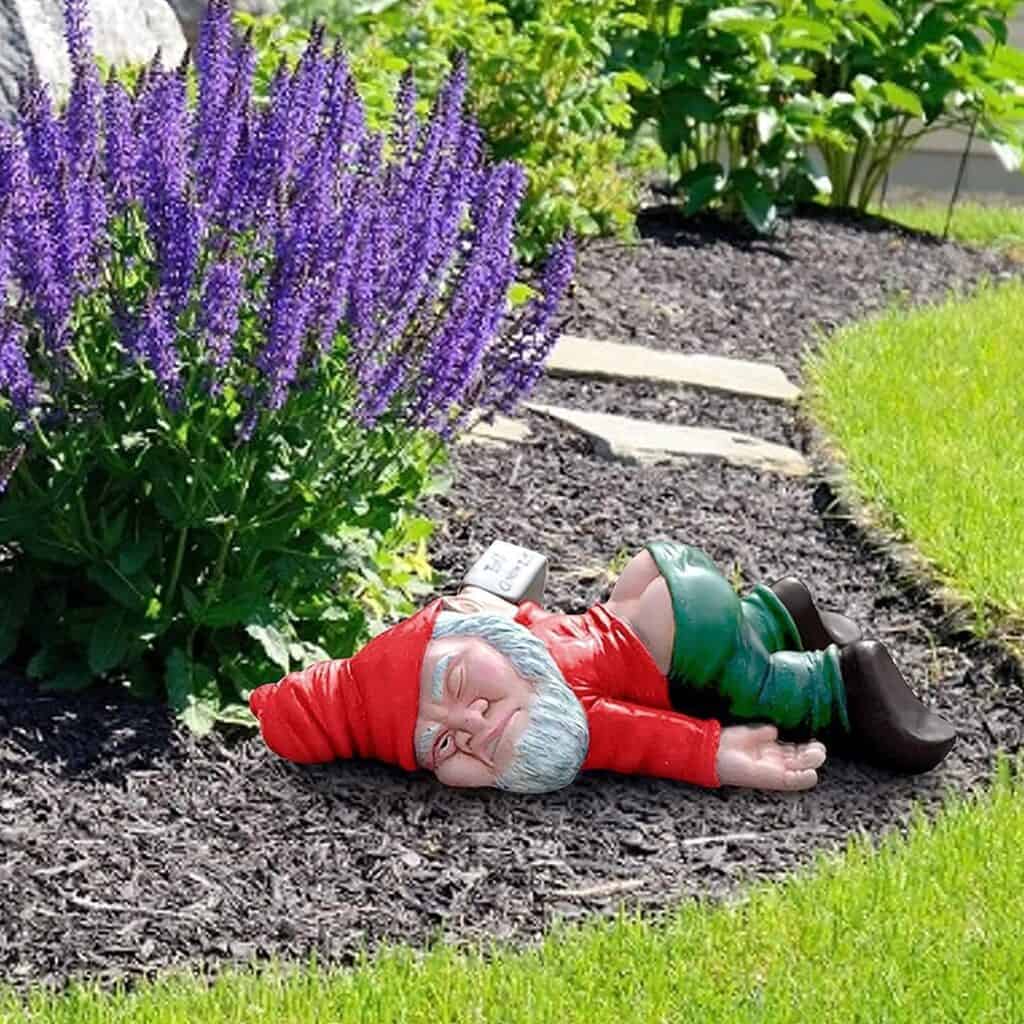 Funny Cheeky Garden Gnome